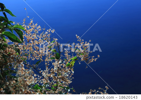 向陽 向陽 18620143