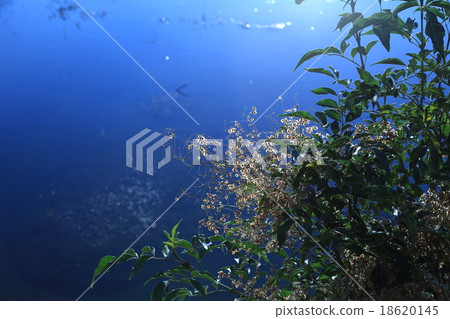 向陽 向陽 18620145