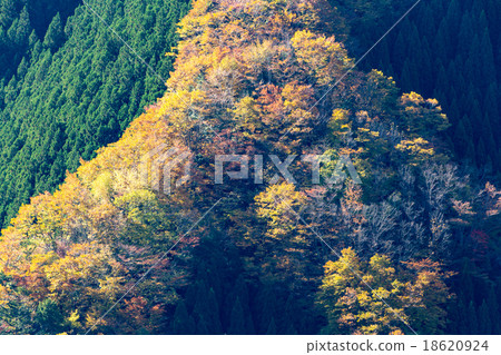 Namego Valley Namego Valley 18620924