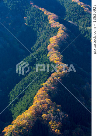 Namego Valley Namego Valley 18620925