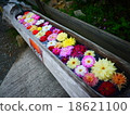一排花 18621100