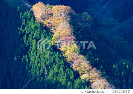 Namego Valley 18621687