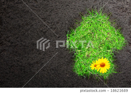 Eco background with soil and house of green grass Eco background with soil and house of green grass 18621689