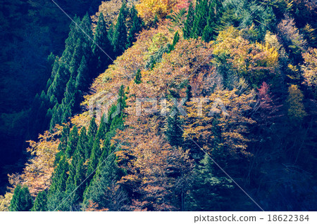 Namego Valley Namego Valley 18622384