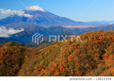 秋葉丹澤·Nabebarasan和富士山 18623204