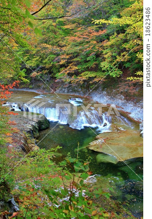Falls of autumn leaves 18623486