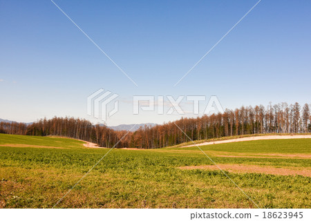 Hill landscape 18623945