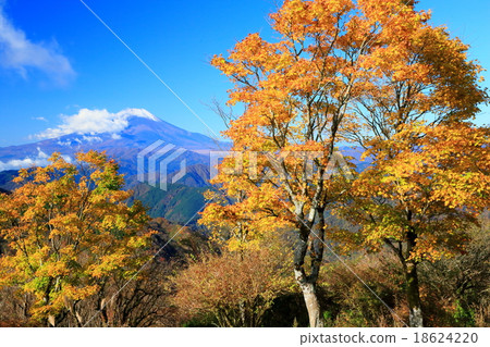 Tanzawa · Nabe mountain autumn leaves and summit of Mt. Fuji 18624220