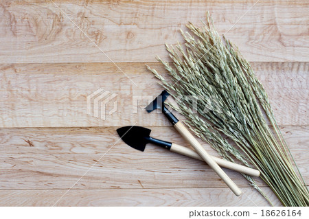 Gardening tools on wooden background Gardening tools on wooden background 18626164