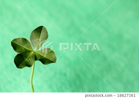 四片葉子的三葉草 四片葉子的三葉草 18627161