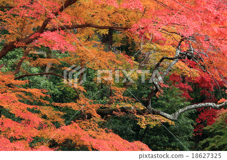 Hasega Temple Konoha Nara Prefecture 18627325