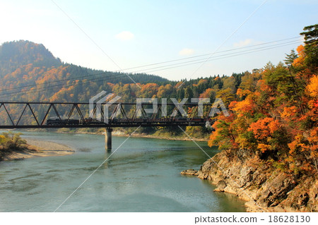 秋天的樹葉 18628130