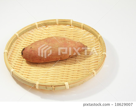 Tanegashi-made Anno potato 18629007