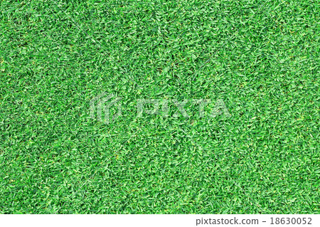green grass 18630052