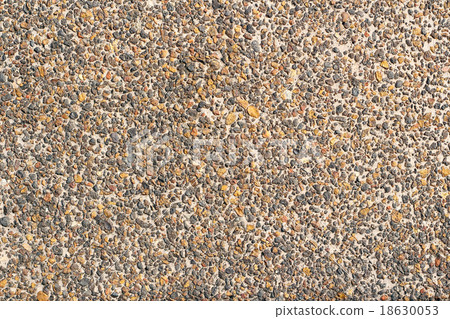 Conglomerate variety puddingstone 18630053