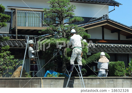 Worker _ gardener under pruning work 18632326