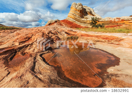 White pocket 18632991