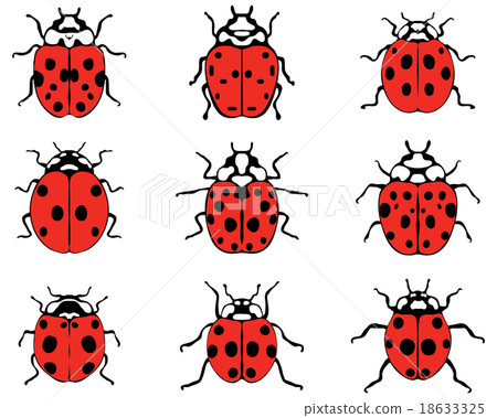 cheerful ladybugs cheerful ladybugs 18633325