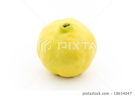 Quince Quince 18634047