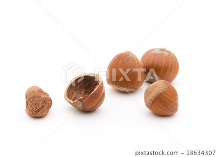 Hazelnut 18634307
