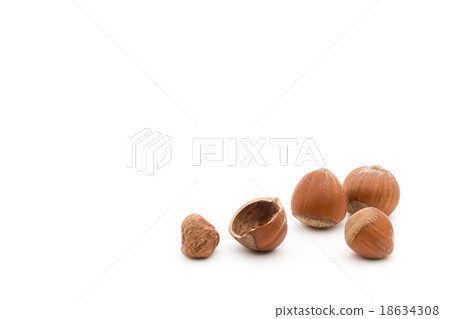 Hazelnut 18634308