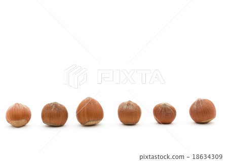 Hazelnut Hazelnut 18634309