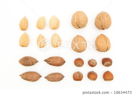 Almonds, walnuts, pecans, hazelnuts Almonds, walnuts, pecans, hazelnuts 18634473