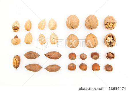 Almonds, walnuts, pecans, hazelnuts 18634474