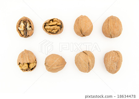 核桃殼 18634478