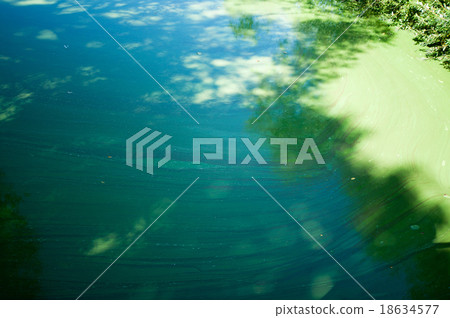 Pollution in the river Pollution in the river 18634577