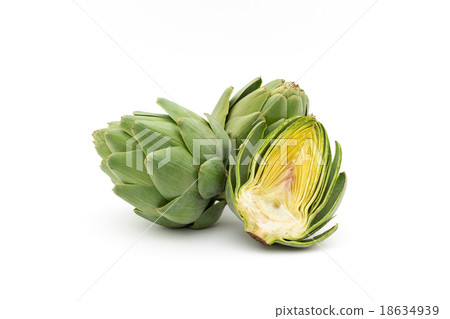 artichoke artichoke 18634939