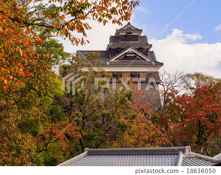 Kumamoto castle Autumn's Iida Maru 5 hierarchical oar 18636050