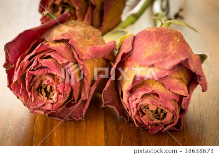 Withered rose on a wooden table - Vintage filter Withered rose on a wooden table - Vintage filter 18638673