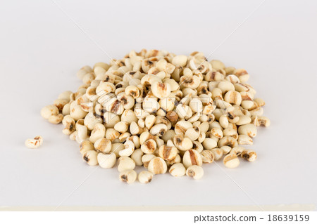 Coixseed, also known as Job's tears on white bacground 18639159