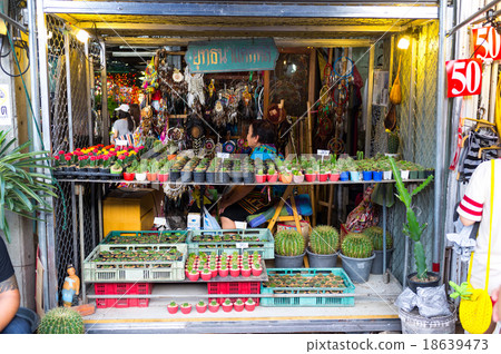 BANGKOK, THAILAND - CIRCA JULY, 2015: Plant for sale at Chatucha 18639473