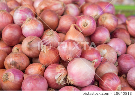 图库照片 red onion bulb in market,thailand