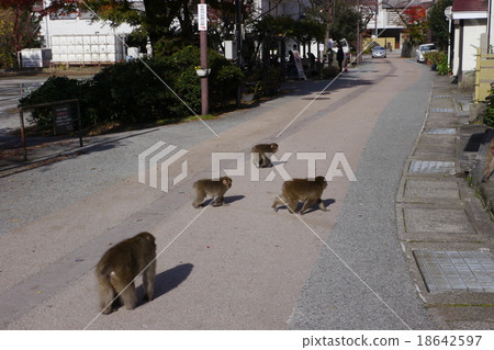 Unazuki Onsen Street monkeys Unazuki Onsen Street monkeys 18642597