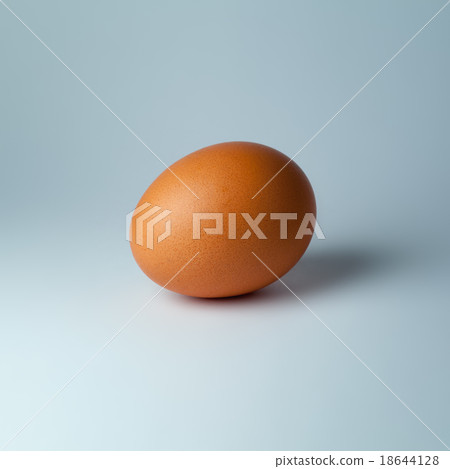 Single brown chicken egg Single brown chicken egg 18644128