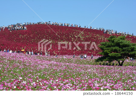 我去了海灘公園③ 18644150