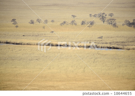 Kushiro moor in autumn 18644655
