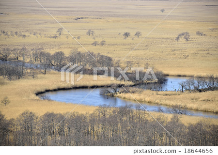 Kushiro moor in autumn 18644656