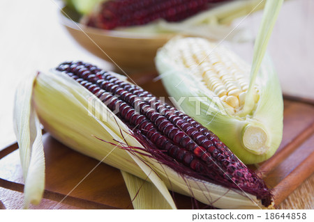Fresh corn 18644858