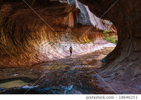Canyon in Zion Canyon in Zion 18646251