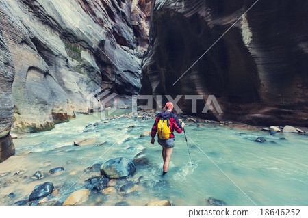 Canyon in Zion Canyon in Zion 18646252