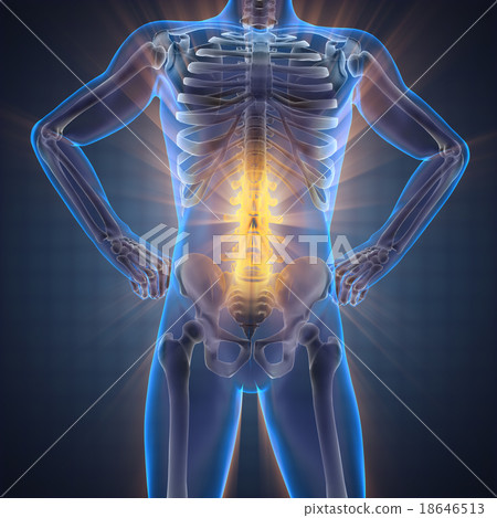 human bones radiography scan image 18646513