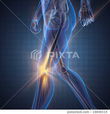 human bones radiography scan image 18646514
