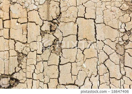 Close up of cracked soil 18647406