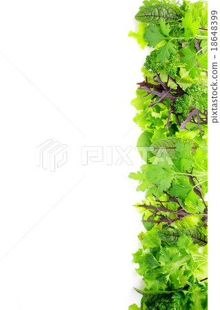 Salad vegetable frame Salad vegetable frame 18648399