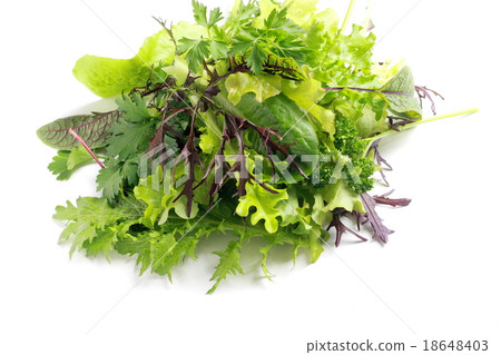 為沙拉採摘的菜和草本葉子 為沙拉採摘的菜和草本葉子 18648403