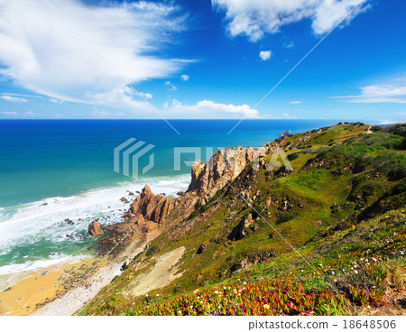 Atlantic ocean coast  18648506